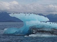 Iceberg in Prince William Sound - Alaska