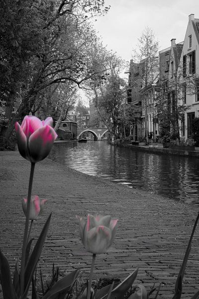 Frühling auf der Oudegracht, Utrecht von Framed by Elisabeth