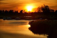Zonsondergang in de kleine haven van Zevenhuizen