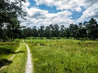 Planken Wambuis, Ede