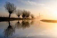 Tiendweg mill and its willows