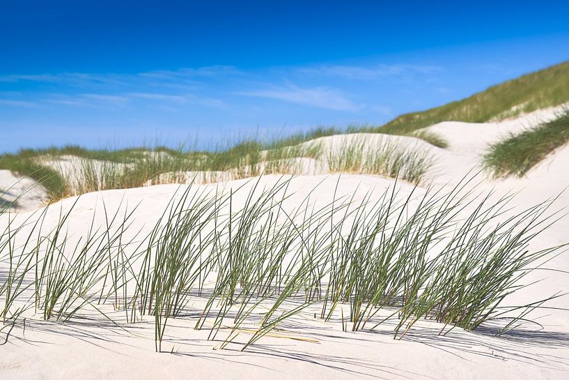 Autant en emporte le vent - dans les dunes de Sylt par Reiner Würz / RWFotoArt