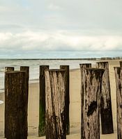 Wellenbrecher am Strand in Zeeland