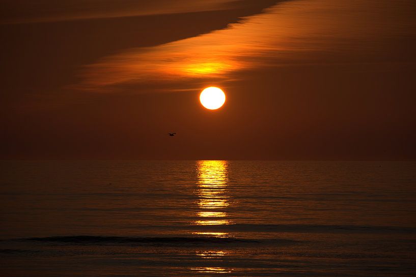 dark sunset by Marvin Van Haasen