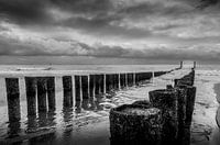 Breakwaters on the beach at Zoutelande