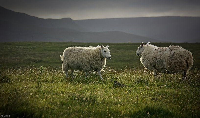 impressions of scotland - was waiting 4 u by Meleah Fotografie