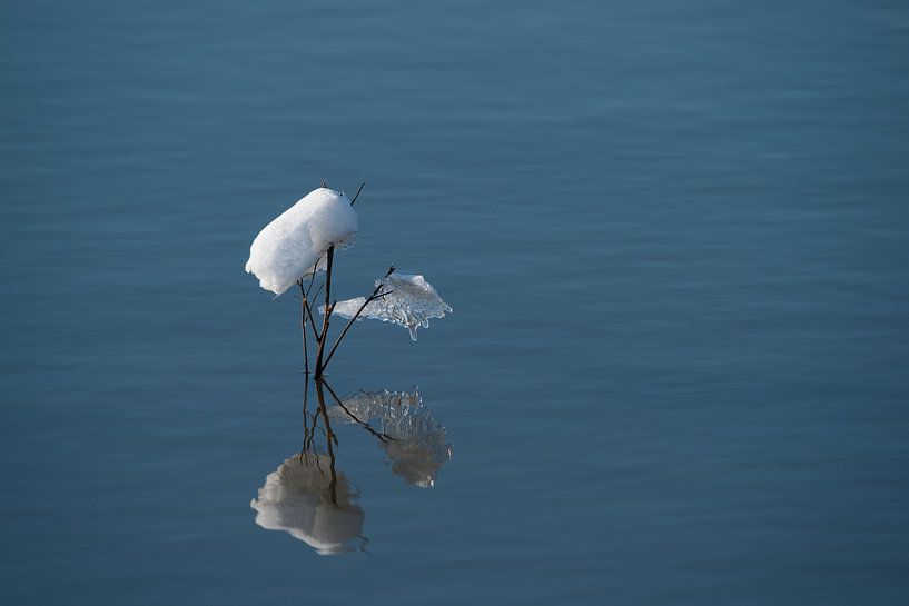 Snow residue by Robben