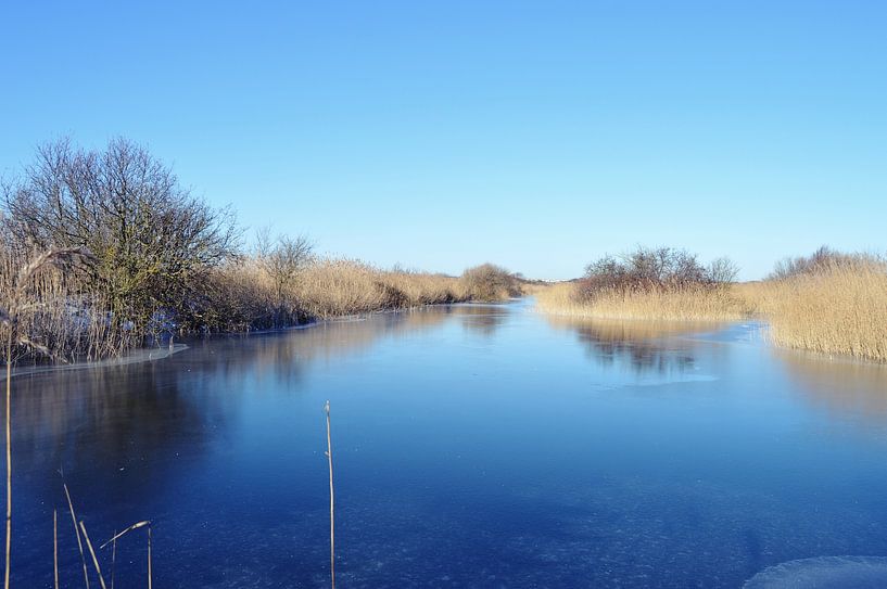 Gefrorenes Dünenwasser 5 von Beachlines and colors SdK