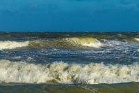 Danse de la mousse et de l'eau.