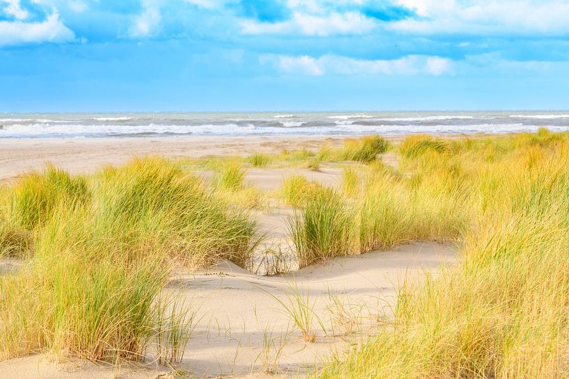Sanddünen am Nordseestrand auf der Insel Texel von Sjoerd van der Wal Fotografie