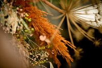 Herbstliche Atmosphäre