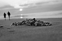 Samen de zonsondergang tegemoet gaan, in zwart wit.