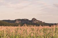 Rotsgebergte in Tsjechië