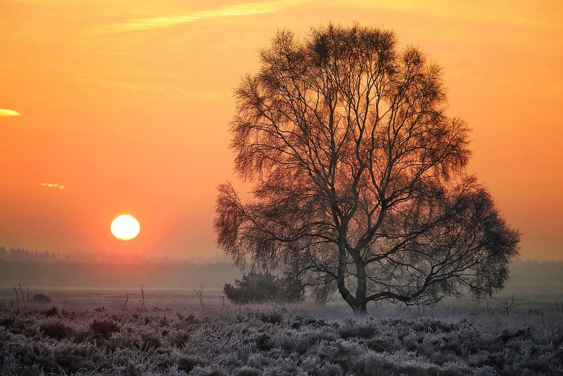 Zonsopkomst von Vladimir Kozich