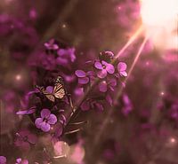 des rayons de soleil à travers des fleurs violettes