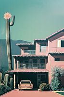 Villa mit Riesenkaktus, Vintage