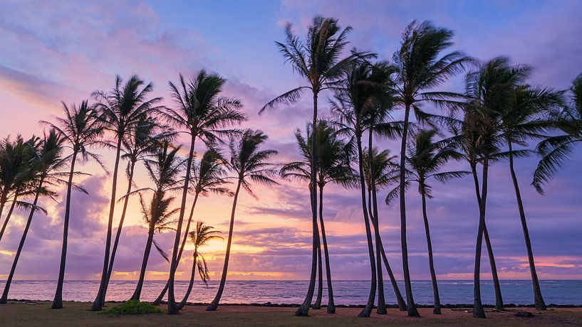 Sunrise at Kapaa Beach Park, Kauai, Hawaii by Henk Meijer Photography