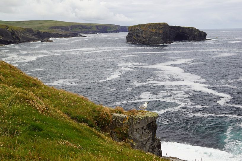 La promenade de la falaise de Kilkee par Babetts Bildergalerie