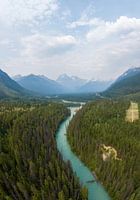 Des hauteurs à couper le souffle - La rivière dans le parc du Mont-Robson