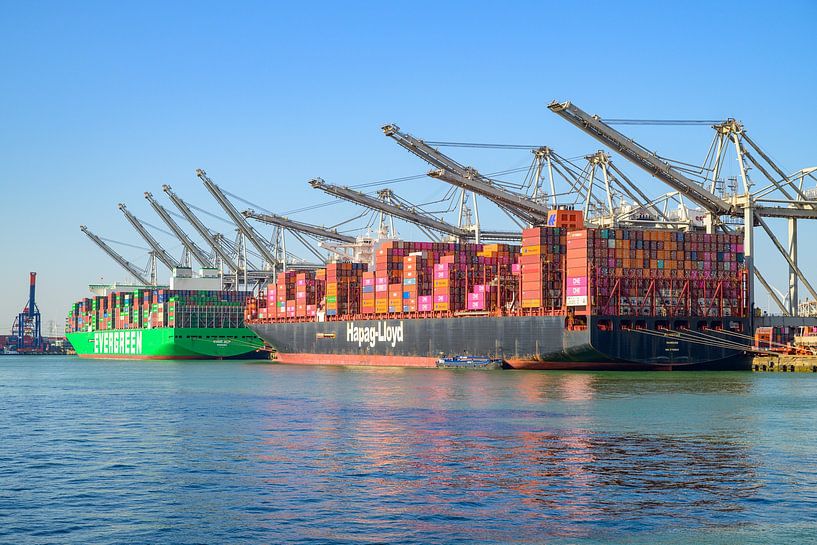 Containerschepen Ever Alp en Al Nefud meerden aan bij de containerterminal. van Sjoerd van der Wal Fotografie