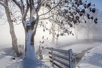 Winter in der Alblasserwaard