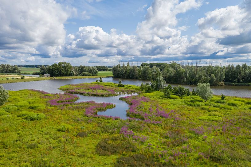 Loch des Schinkens im Sommer 1 von Bernardine de Laat