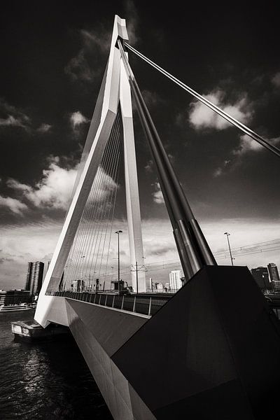 Erasmus Bridge Rotterdam by Rob Boon