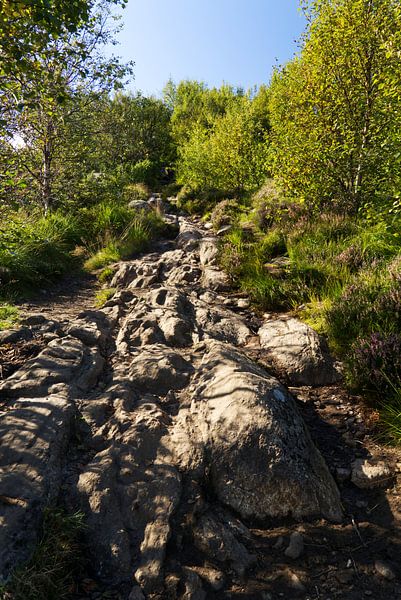 Sentier rocheux vers le sommet du Sukkertoppen près d'Alesund par Anja B. Schäfer
