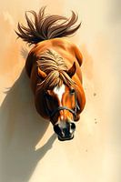 Majestätischer Hengst von oben