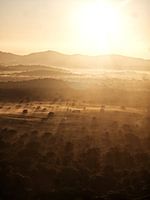 Sunrise over the forest