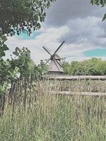 Elk najaar heeft zijn voorjaar