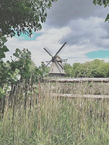 Elk najaar heeft zijn voorjaar par M.J. Spencer
