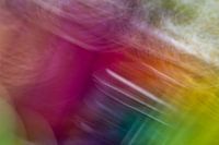 Les couleurs de la vie