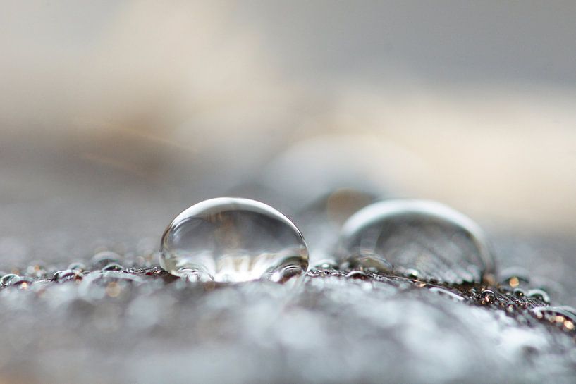 Stardust by Carla Mesken-Dijkhoff