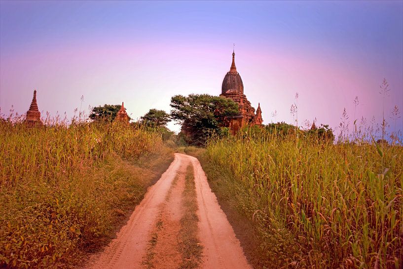 Anciennes pagodes dans le paysage de Bagan au Myanmar au coucher du soleil par Eye on You