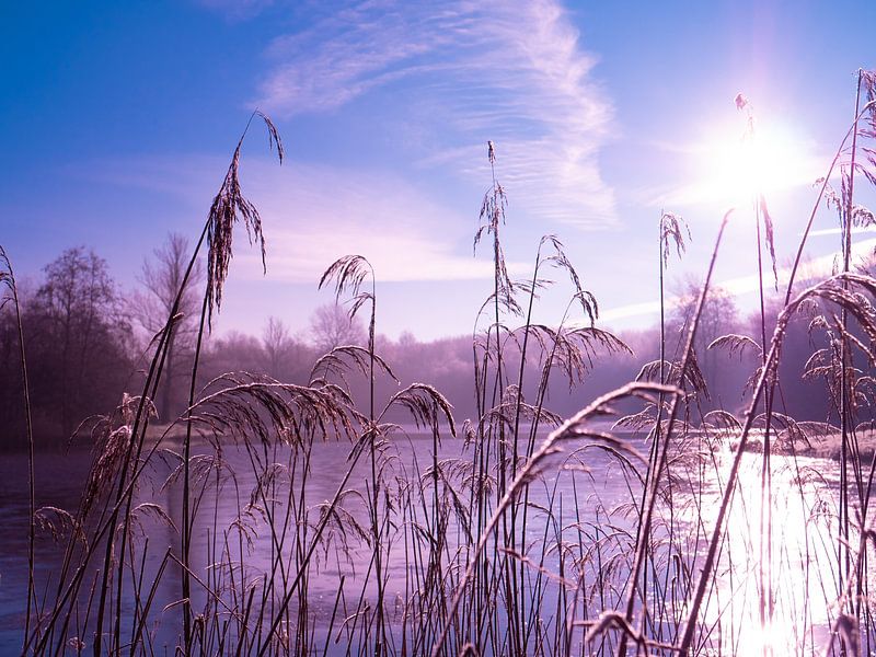 Morgen von snippefotografie