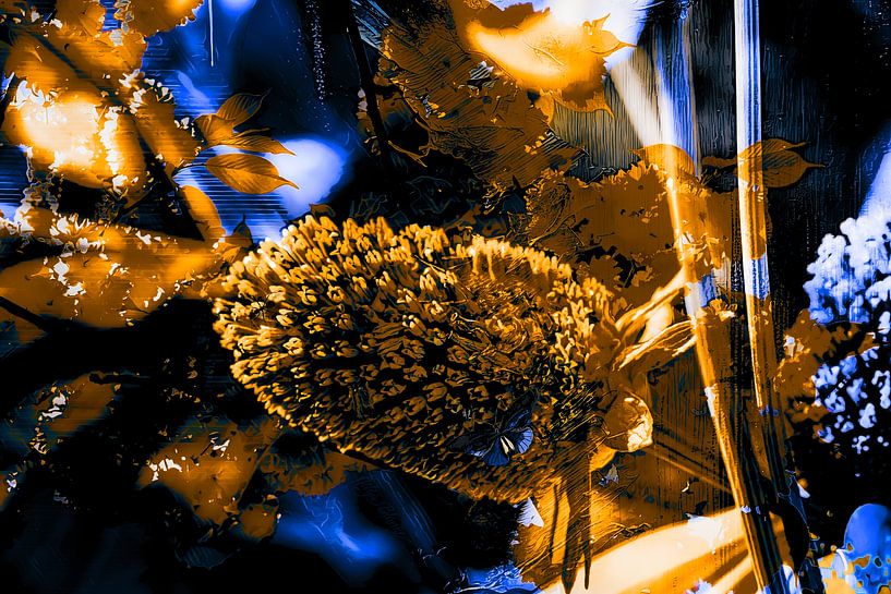 Der letzte Sonnenhut von Helga Blanke