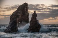 La baleine de pierre