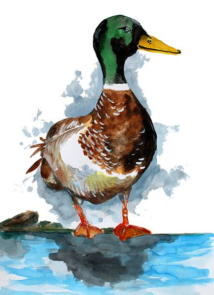 Mallard by Sebastian Grafmann
