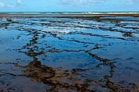 The atlantic ocean in Bahia, Brazil, at low tide. Abstract landscape.