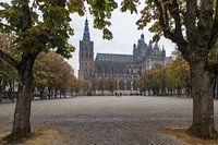 St John's Cathedral with chestnut trees in autumn colors