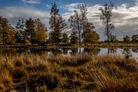 Belle journée d'automne