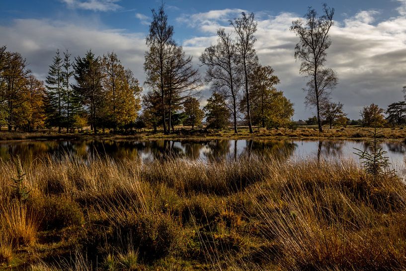 Beautiful autumn day by Rolf Linnemeijer