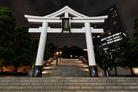 Torii bei Nacht in Tokio