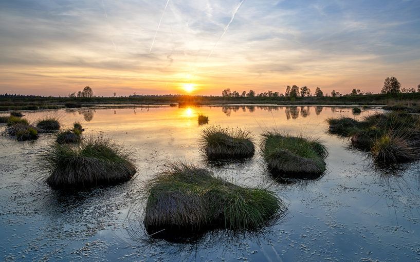 Brackvenn, High Fens, Belgium by Alexander Ludwig