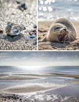 Träume vom Meer: Wattenmeer auf Sylt