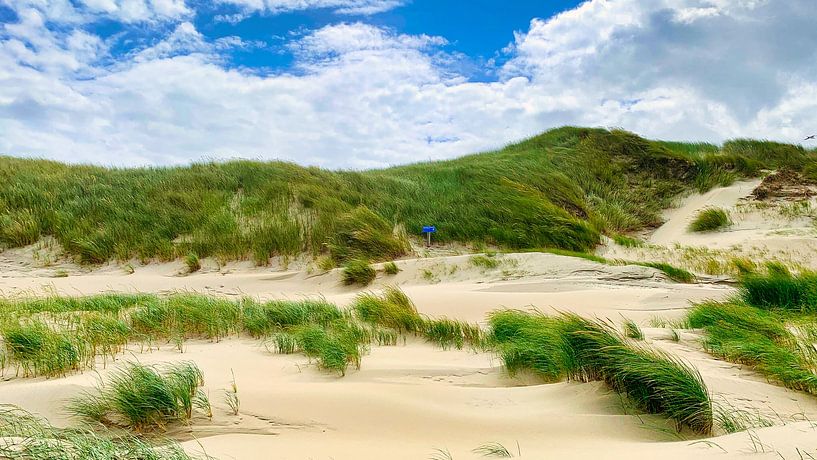 Dunes Netherlands by Digital Art Nederland