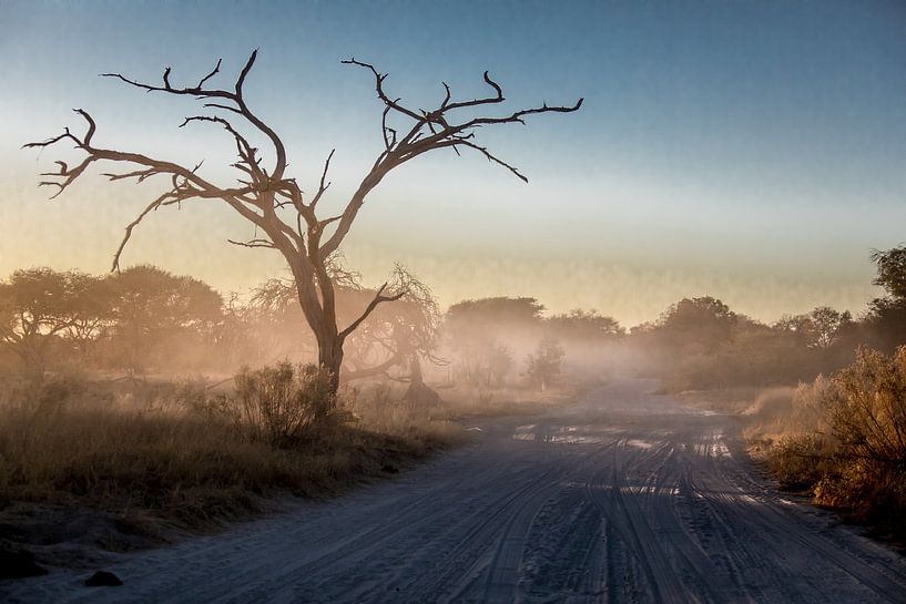 Route de terre désolée au Botswana, tôt le matin. par De wereld door de ogen van Hictures