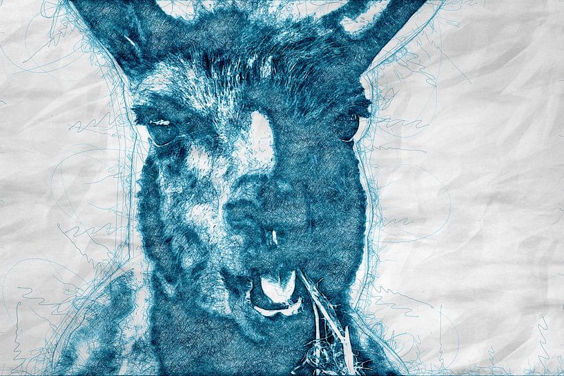 Lama Gama par Gig-Pic by Sander van den Berg