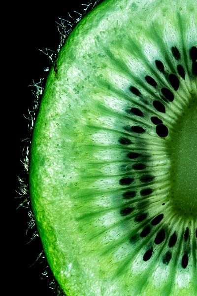Detailed close-up of a fresh slice of kiwi on a black background by Dafne Vos